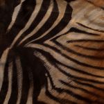 Picture of Leopard pattern faux leather